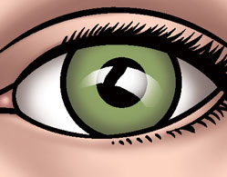 Detailed Eye Color 16