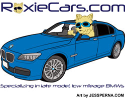 Used Car Dealer Cartoon Digital Advertising Illustration